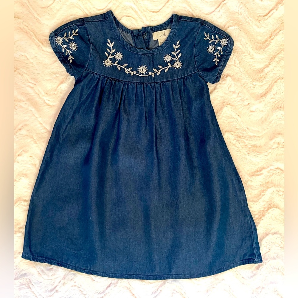 Denim embroidered dress